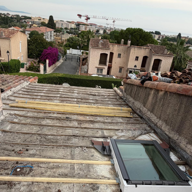 Velux & fenêtres de toit